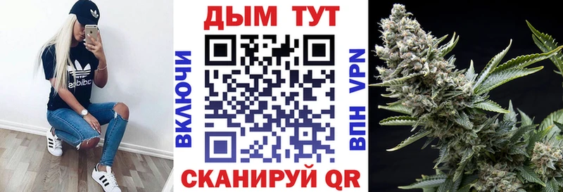 как найти   Гаджиево  Конопля White Widow 